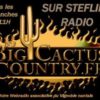 Big Cactus Country